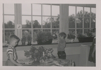 Unable to load Image